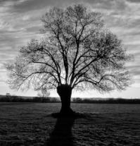 Dhombre lumiere immafgine sito