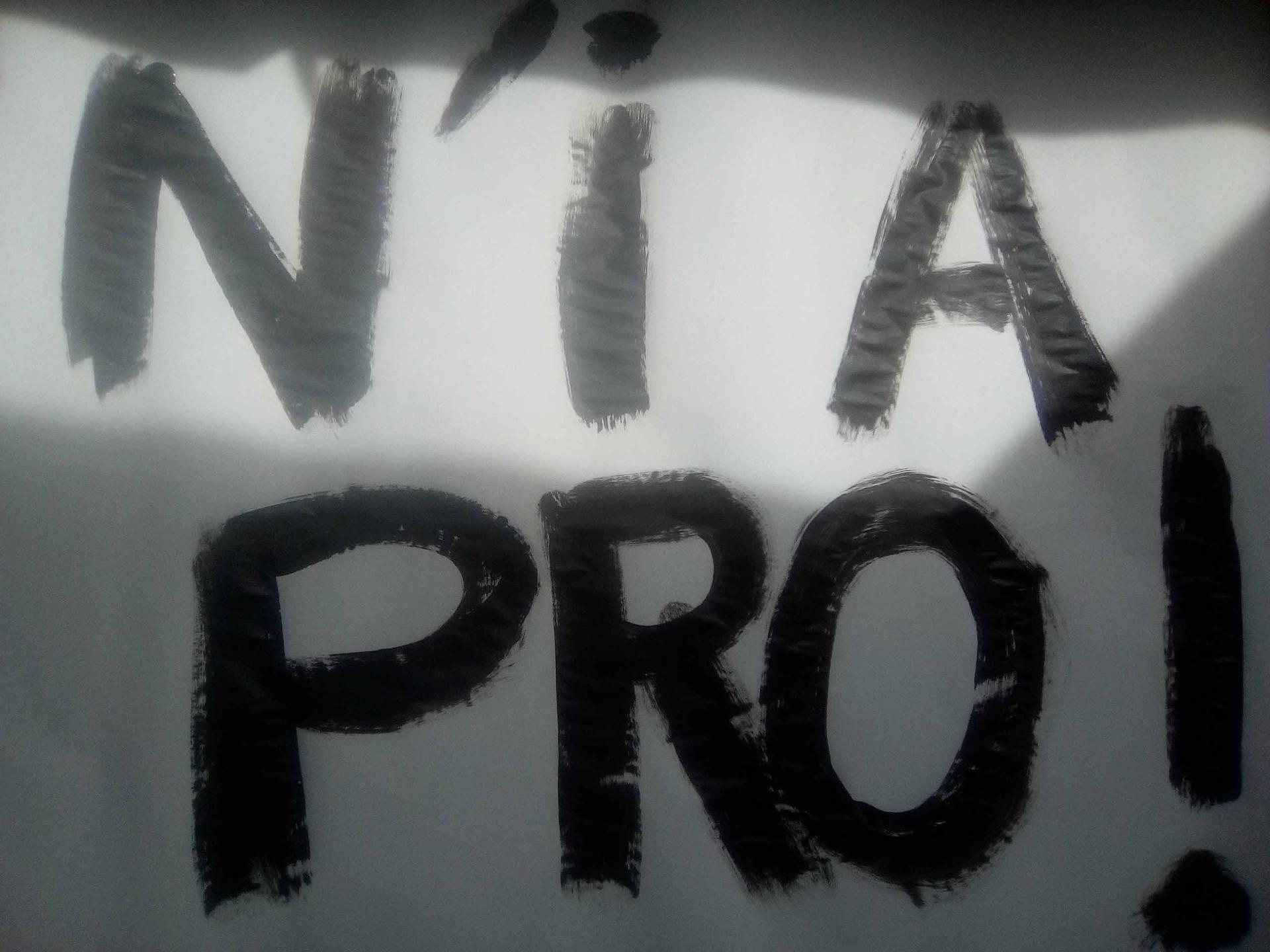 N i a pro web